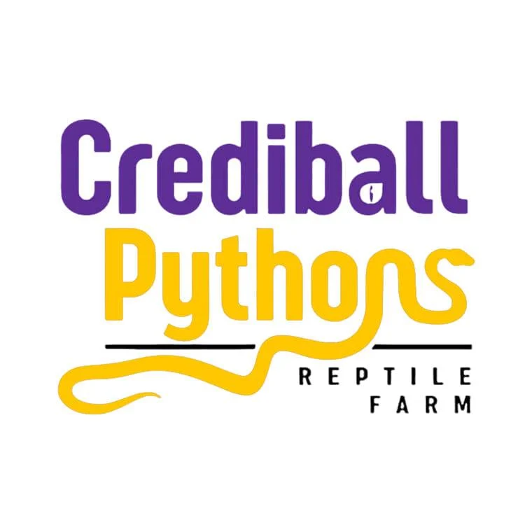 Crediball Pythons Reptile Farm