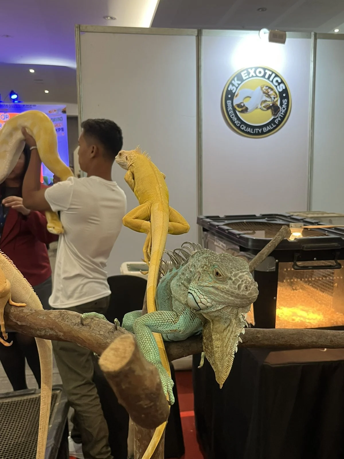 591614555 1246742140828062 3373109795406144989 n